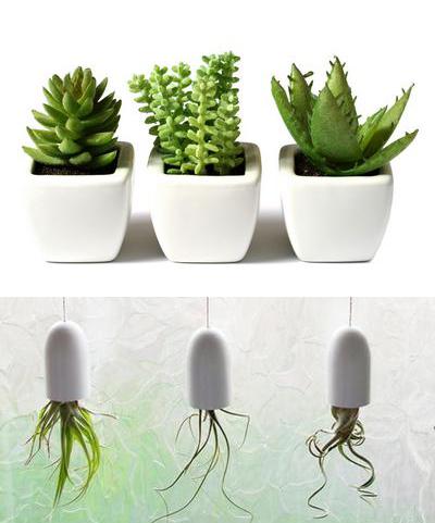 室內擺放植物，起到綠色節能降耗